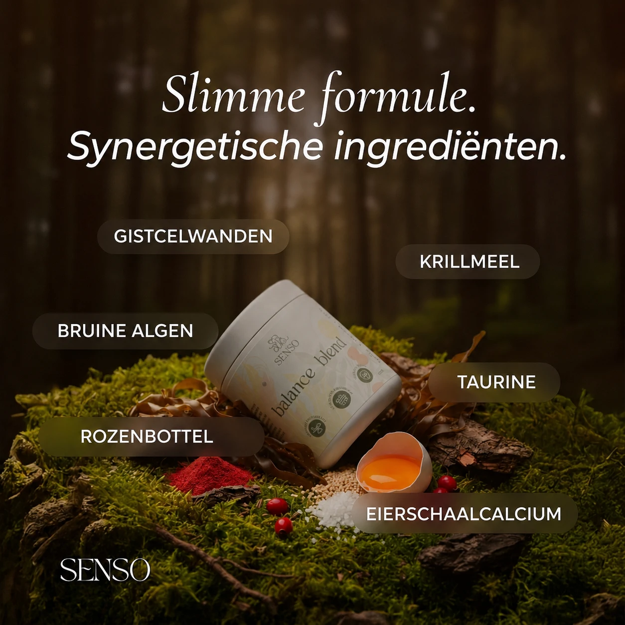 Ingrediënteninfographic van Balance Blend